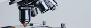 Microscope biomedical catalyst 2019