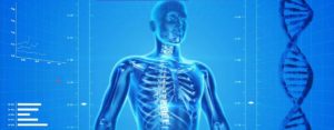 Digital image of human skeleton promoting Digital health technology catalyst grant funding competition